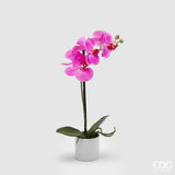 edg enzo de gasperi edg enzo de gasperi orchidea phalaenopsis real con vaso artificiale h 40 cm fuchsia ean 8056372341267