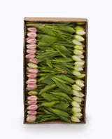 edg enzo de gasperi edg enzo de gasperi bouquet tulipani 9 boccioli h 29 cm artificiali ass green pink ean 8056372687068