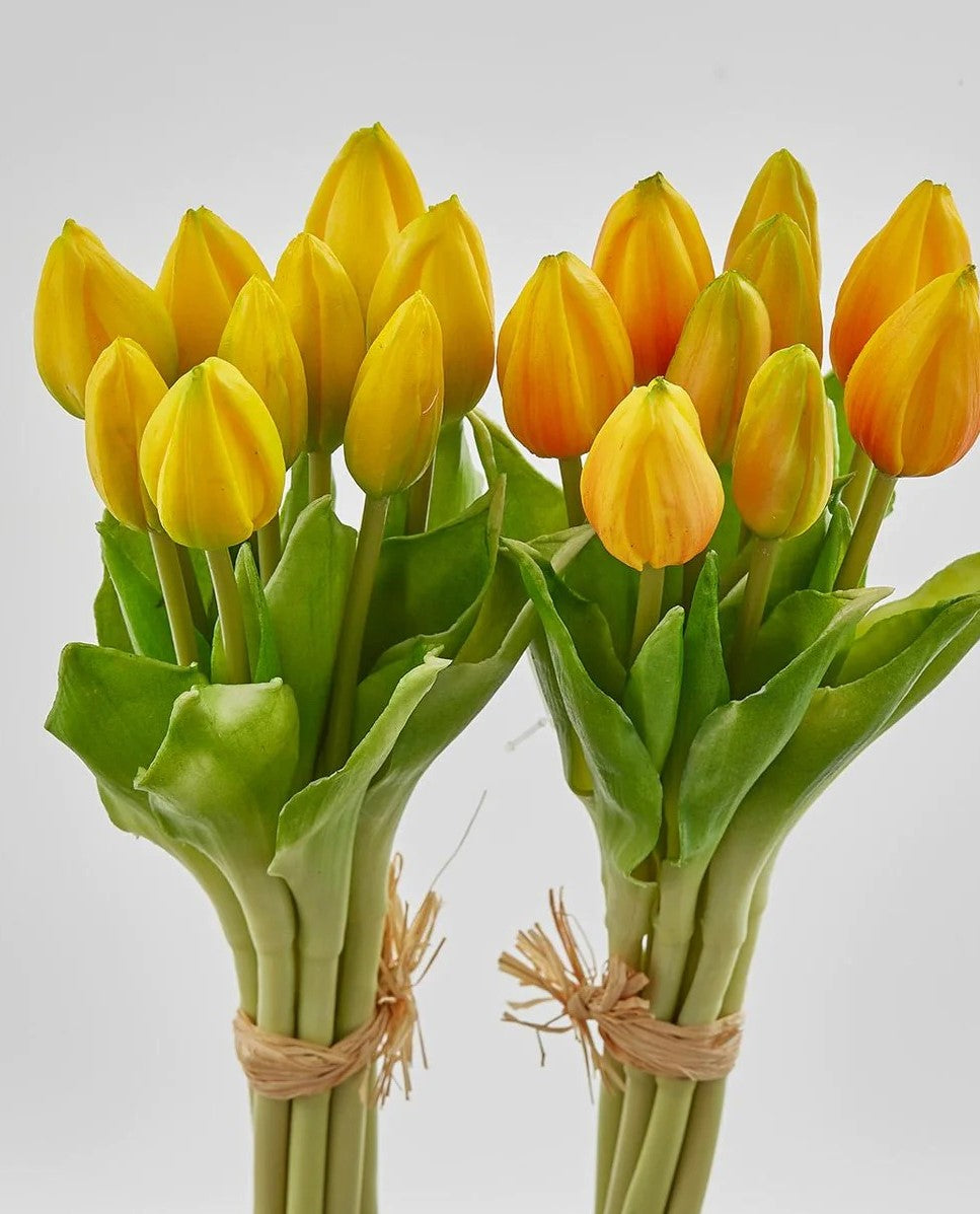 Tulip Bouquet 9 Yellow Buds