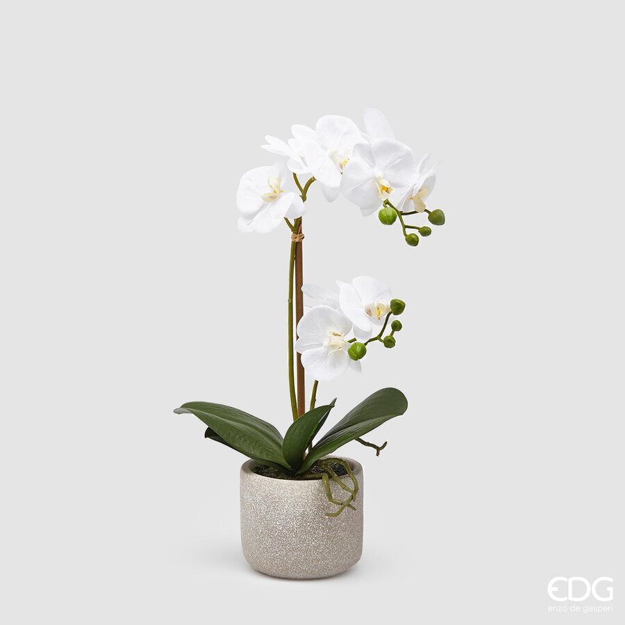 edg enzo de gasperi edg enzo de gasperi orchidea phalaenopsis pianta x2 artificiale con vaso h 42 cm white ean 8059824911070