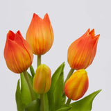 edg enzo de gasperi edg enzo de gasperi bouquet di 5 tulipani olis ass h 26 cm yellow orange 1 pz ean 8059824245205