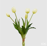 Tulip Olis 1 Bunch of 5 Pieces H40 Ivory