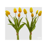 Tulip Olis 1 Bunch of 5 Pieces H40 Yellow