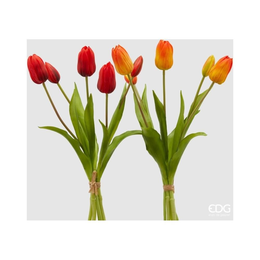 Tulip Olis 1 Bunch of 5 Pieces H40 Orange