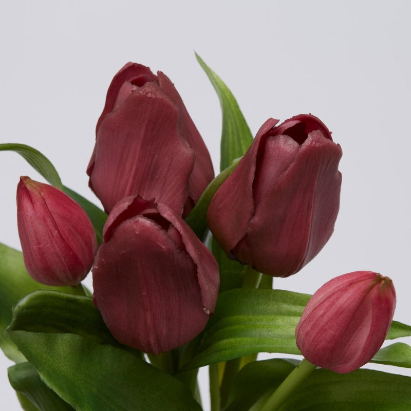 EDG Enzo De Gasperi Bouquet 5 Tulipani Olis Ass. H 28 Cm Mauve 1 Pz