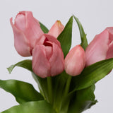 EDG Enzo De Gasperi Bouquet 5 Tulipani Olis Ass. H 28 Cm Mauve 1 Pz