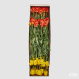 edg enzo de gasperi edg enzo de gasperi bouquet 5 tulipani parrot olis ass h 40 cm yellow orange 1 pz ean 8059824237323