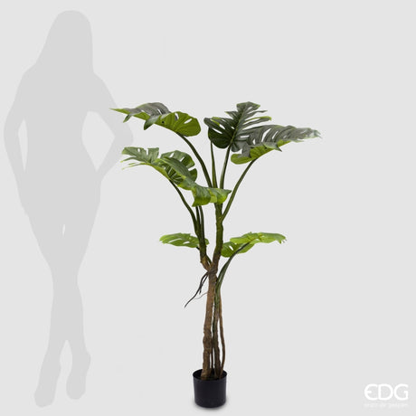 EDG Enzo De Gasperi Monstera Slim Con Vaso Artificiale H 130 Cm Green