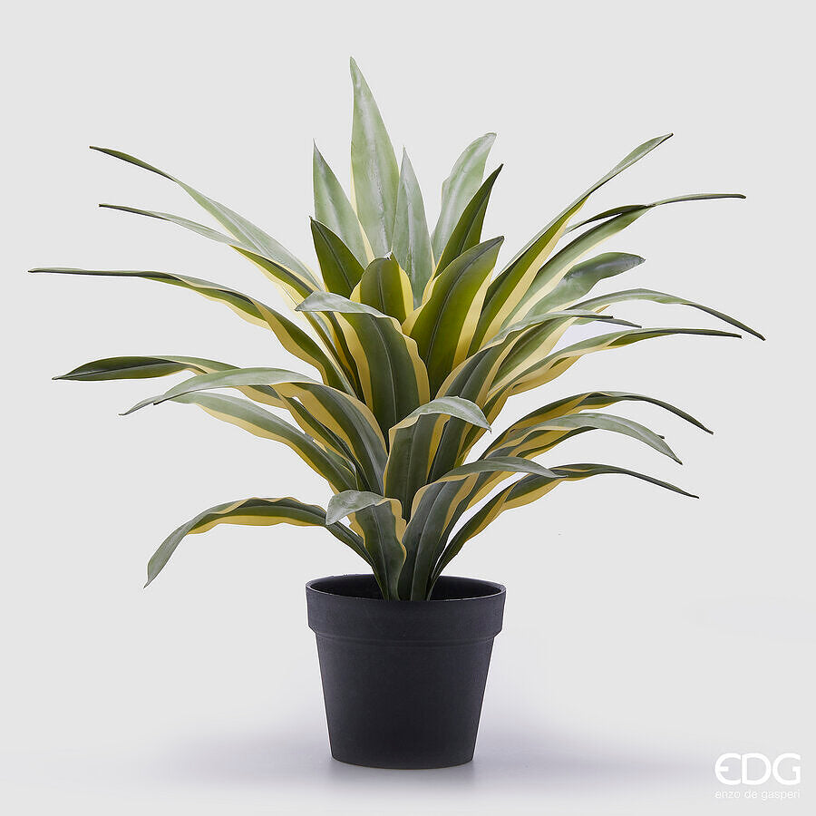 edg enzo de gasperi edg enzo de gasperi agave succ con vaso artificiale h 60 cm green mix ean 8059824358660