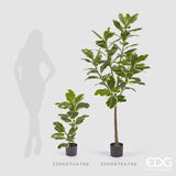 edg enzo de gasperi edg enzo de gasperi ficus elastica con vaso artificiale h 95 cm green mix ean 8059824358745