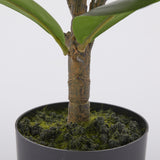 edg enzo de gasperi edg enzo de gasperi ficus con vaso artificiale h 64 cm green ean 8059824379139