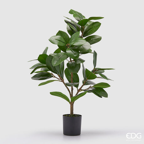 edg enzo de gasperi edg enzo de gasperi ficus con vaso artificiale h 64 cm green ean 8059824379139