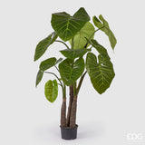 edg enzo de gasperi edg enzo de gasperi alocasia con vaso artificiale h 210 cm green ean 8059824423764