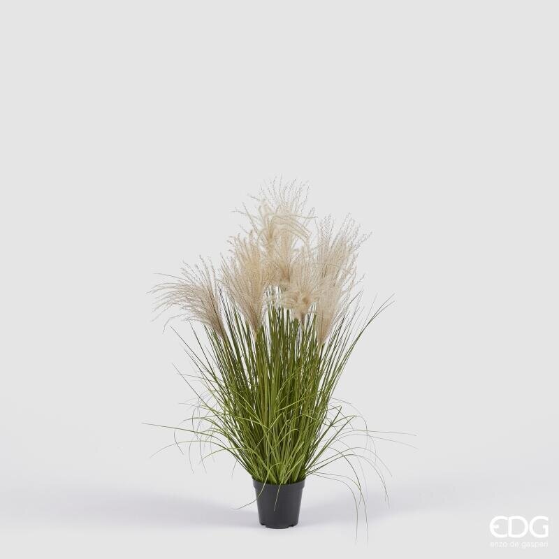 EDG Enzo De Gasperi Artificial Festuca H80 cm with Vase H10xØ13 cm – Decorative Ornamental Plant for Interiors