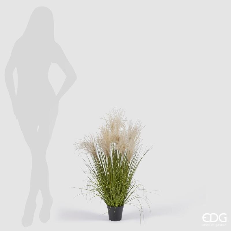 EDG Enzo De Gasperi Artificial Festuca H80 cm with Vase H10xØ13 cm – Decorative Ornamental Plant for Interiors