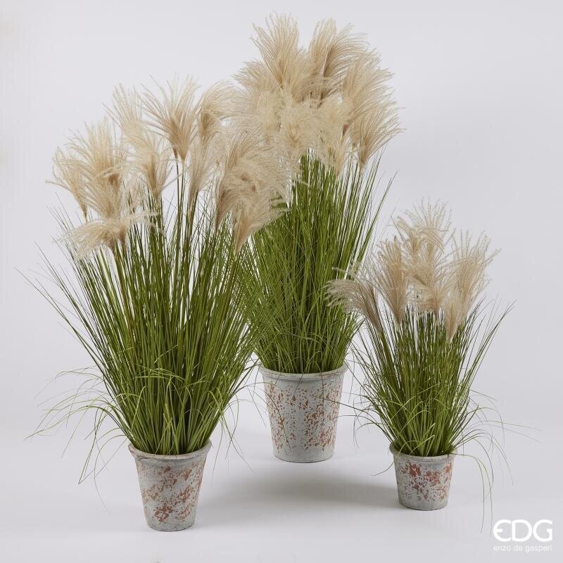 EDG Enzo De Gasperi Artificial Festuca H80 cm with Vase H10xØ13 cm – Decorative Ornamental Plant for Interiors