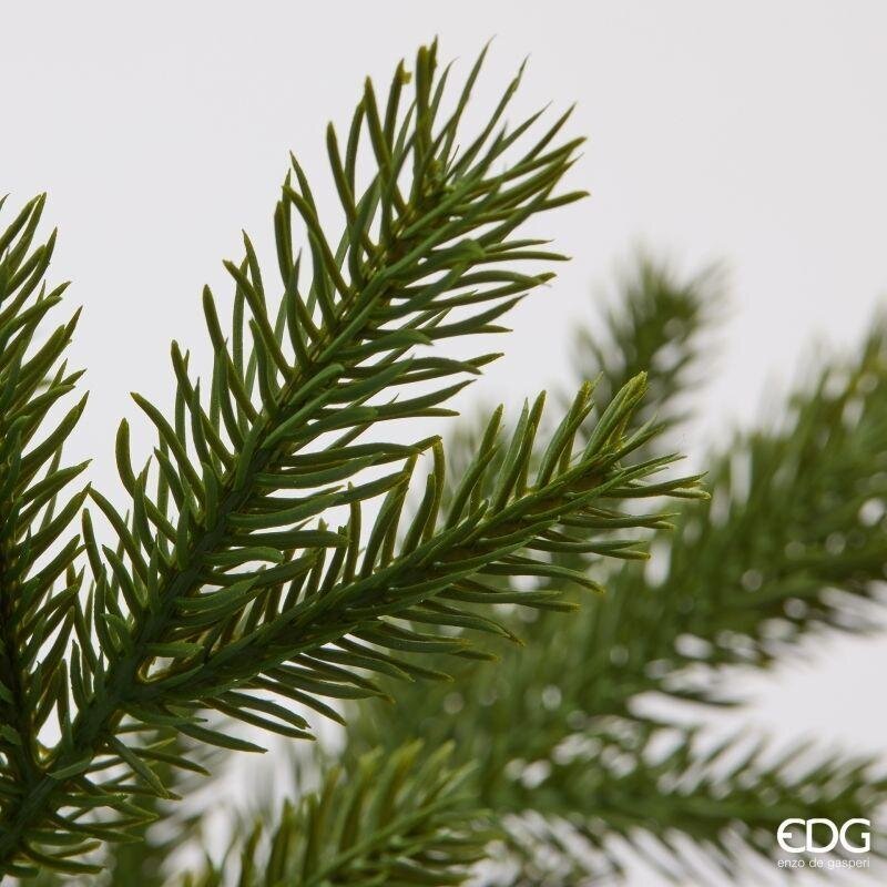 EDG Enzo De Gasperi Ramo di Pino Licopodium H42 cm Verde – Ramo Decorativo Natalizio