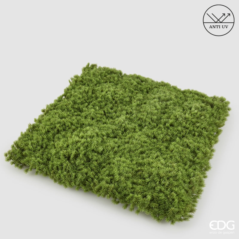 EDG Enzo De Gasperi Siepe Muschio Artificiale Anti UV 100x100 cm Impermeabile – Decorazione Verde