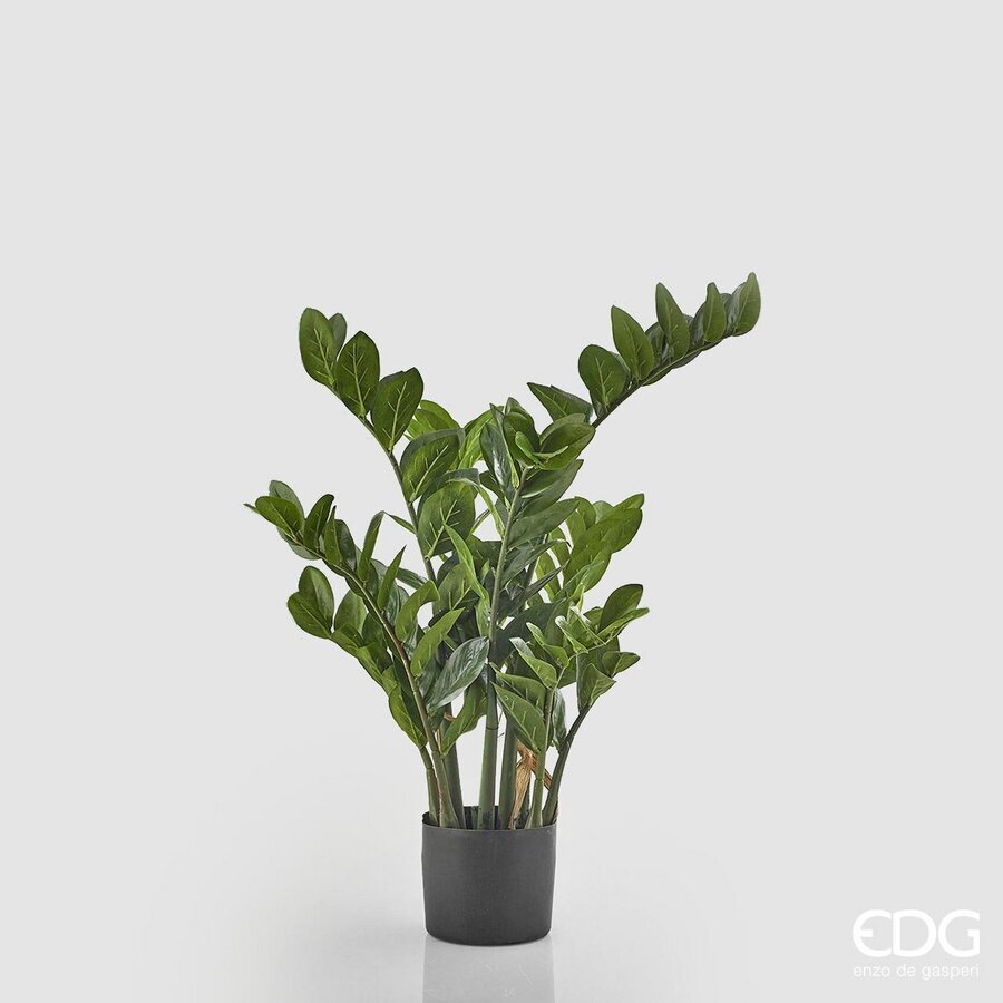 edg enzo de gasperi edg enzo de gasperi zamifolia 9 rami con vaso artificiale h 90 cm green ean 8056372549854