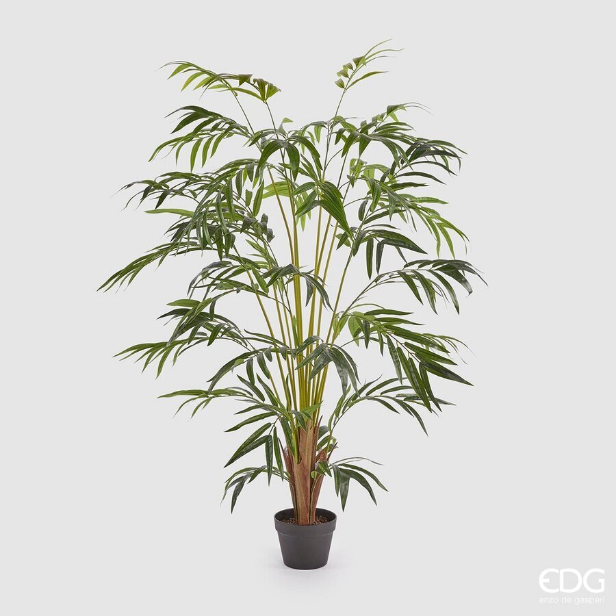 edg enzo de gasperi edg enzo de gasperi palma areca con vaso artificiale h 150 cm green ean 8054184778301