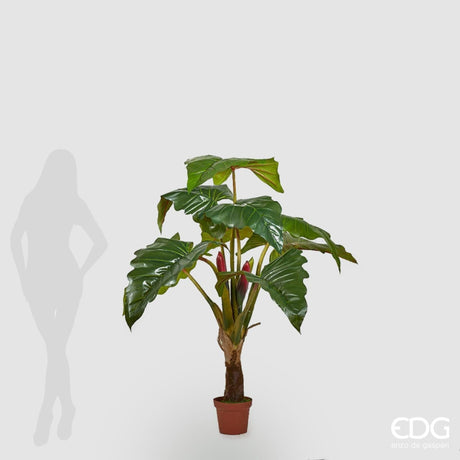 edg enzo de gasperi edg enzo de gasperi alocasia chic con vaso artificiale h 160 cm green ean 8056372078866