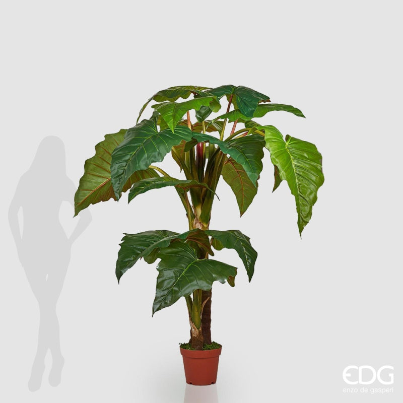 edg enzo de gasperi edg enzo de gasperi alocasia chic con vaso artificiale h 196 cm green ean 8056372084973