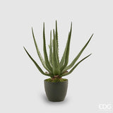 edg enzo de gasperi edg enzo de gasperi aloe chic succ con vaso artificiale h 45 cm green ean 8059824134806