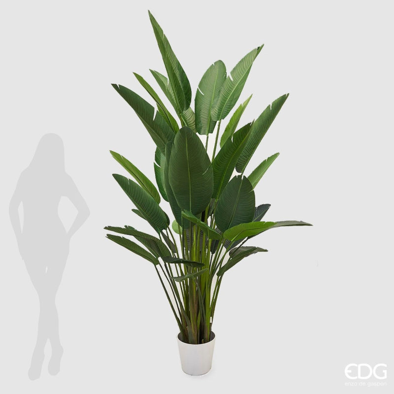 edg enzo de gasperi edg enzo de gasperi strelitzia chic con vaso artificiale h 245 cm green ean 8056372799051