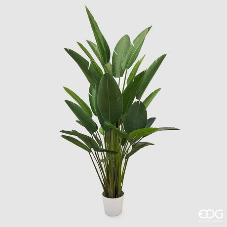 edg enzo de gasperi edg enzo de gasperi strelitzia chic con vaso artificiale h 245 cm green ean 8056372799051