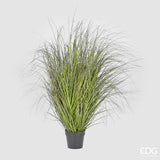 edg enzo de gasperi edg enzo de gasperi festuca con vaso artificiale h 142 cm green pink ean 8056372979552