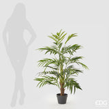 EDG Enzo De Gasperi Areca Chic con Vaso Artificiale H 120 Cm Green