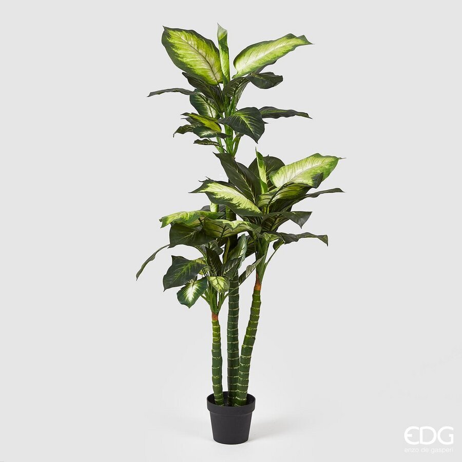 edg enzo de gasperi edg enzo de gasperi dieffenbachia con vaso artificiale h 155 cm white green ean 8059824005762