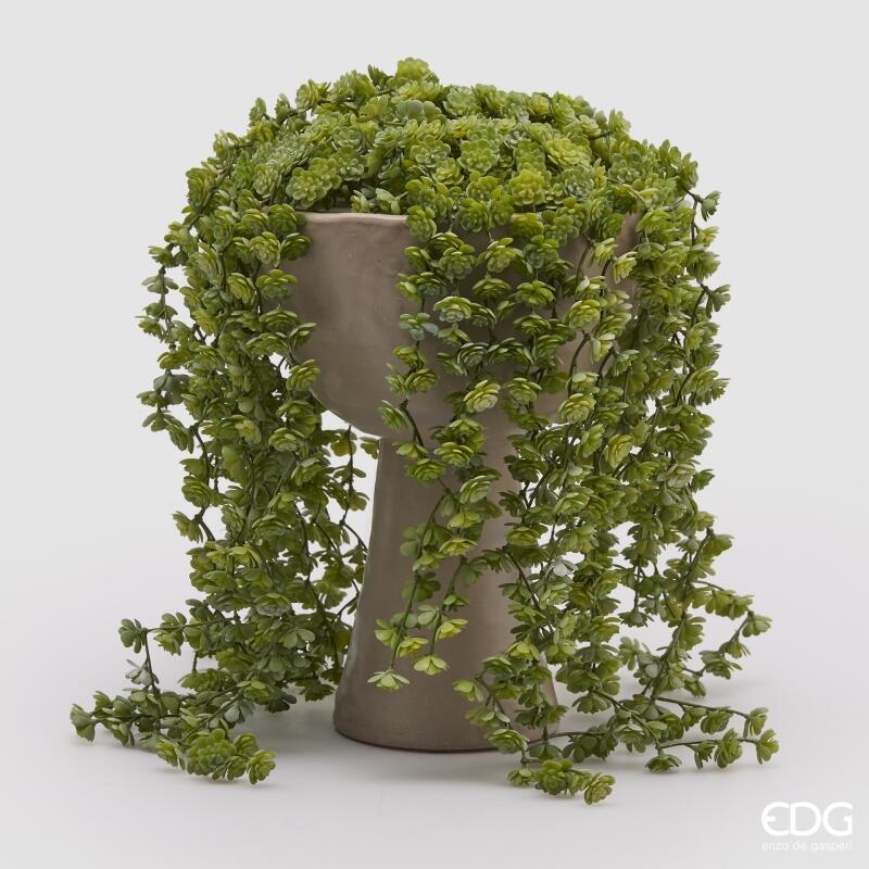 EDG Enzo De Gasperi Echeveria Olis Hanging Bush H 44 Cm Artificial Light Green Plant