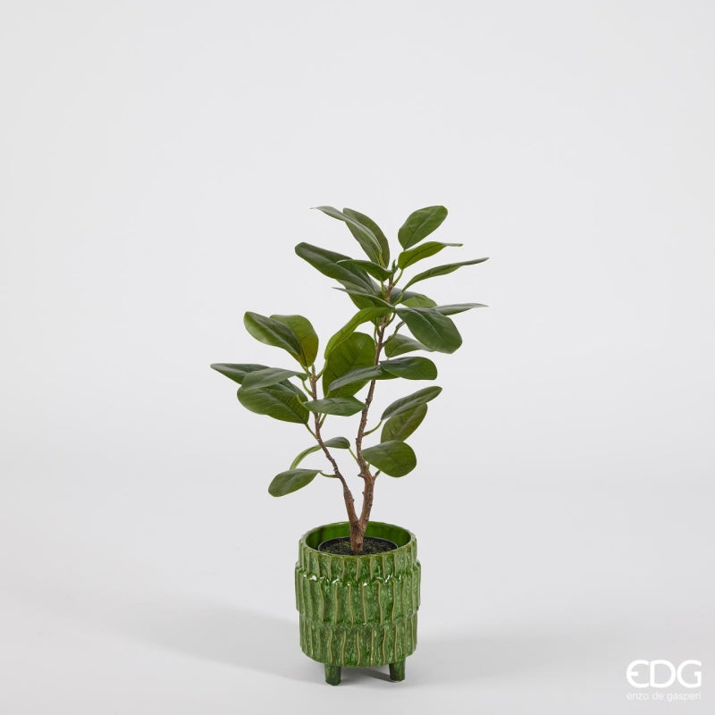 edg enzo de gasperi edg enzo de gasperi ficus chic con vaso artificiale h 64 cm green ean 8059824308702