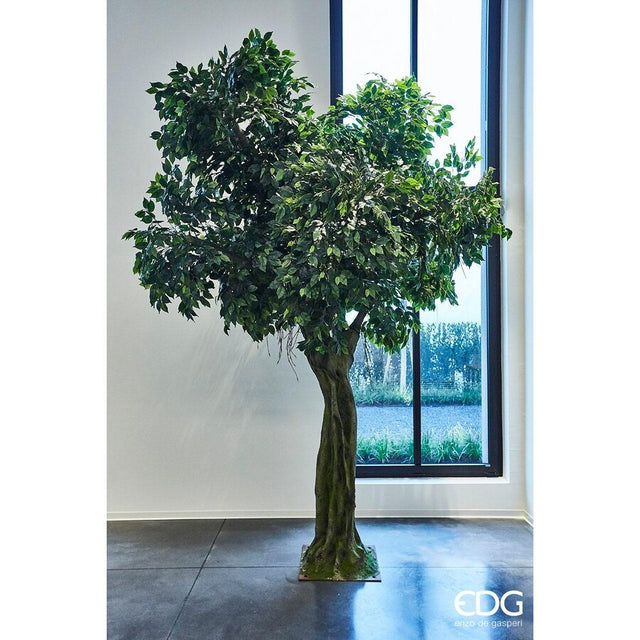 edg enzo de gasperi edg enzo de gasperi ficus pianta artificiale con base h 340 cm d 220 cm green ean 8056372546655