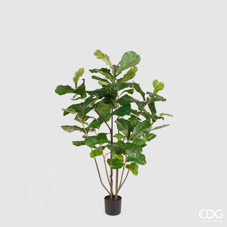 edg enzo de gasperi edg enzo de gasperi ficus lyrata con vaso h 122 cm green ean 8054184814290