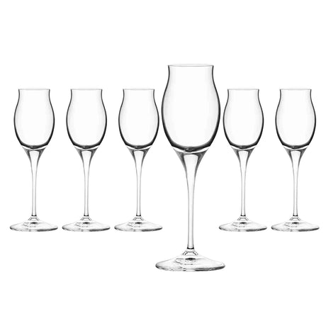 RCR Cristalleria Italiana Invino - I10 Liquore - Set of 6 Glass Liquor Glasses