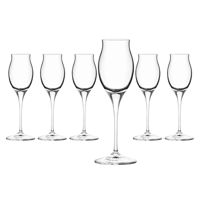 RCR Cristalleria Italiana Invino - I10 Liquore - Set of 6 Glass Liquor Glasses