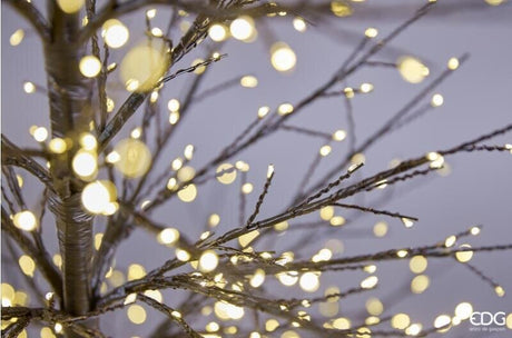 EDG Enzo De Gasperi Beech Christmas Tree Black Rich 1440 MicroLED H150 Ø105 cm IP44 – Outdoor Illuminated Tree