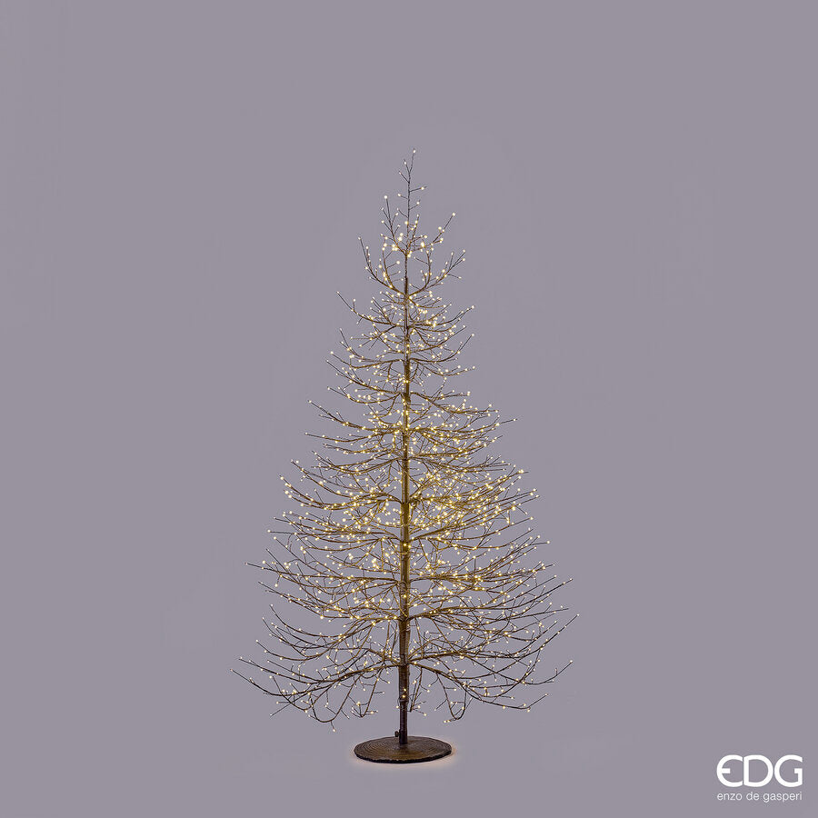 EDG Enzo De Gasperi Beech Christmas Tree Rich Black 1940 MicroLED H180 Ø115 cm IP44 – Outdoor Illuminated Christmas Tree