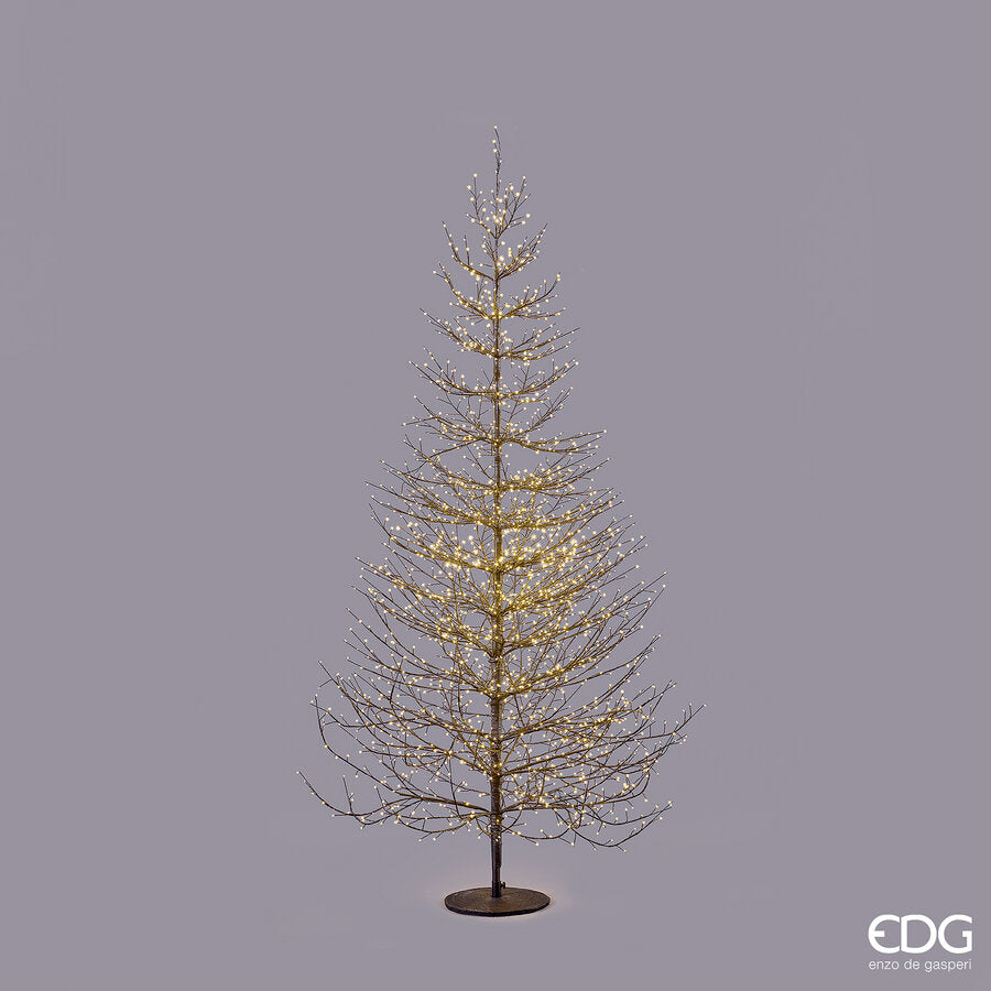 EDG Enzo De Gasperi Beech Christmas Tree Rich Black 2690 MicroLED H210 Ø130 cm IP44 – Outdoor Illuminated Tree