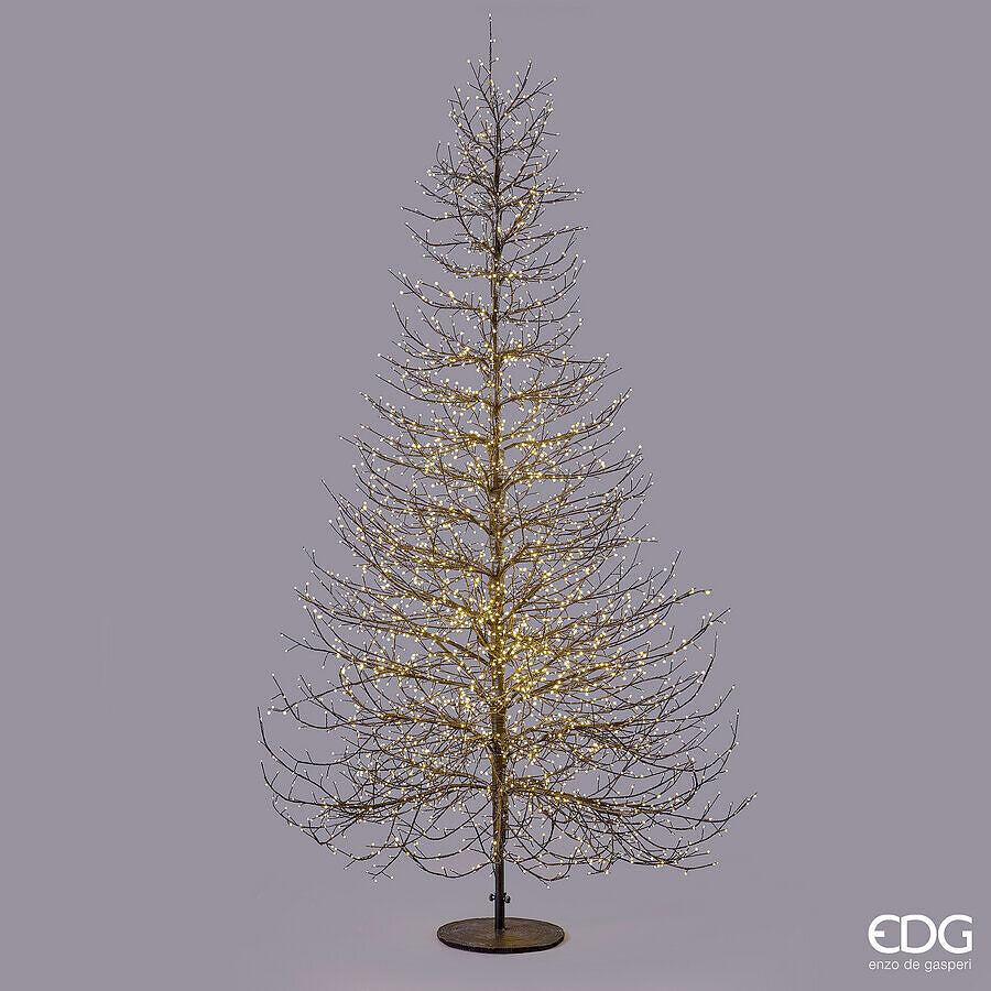 EDG Enzo De Gasperi Christmas Tree Beech Rich Black 6590 MicroLED H300 Ø180 cm IP44 – Outdoor Illuminated Christmas Tree