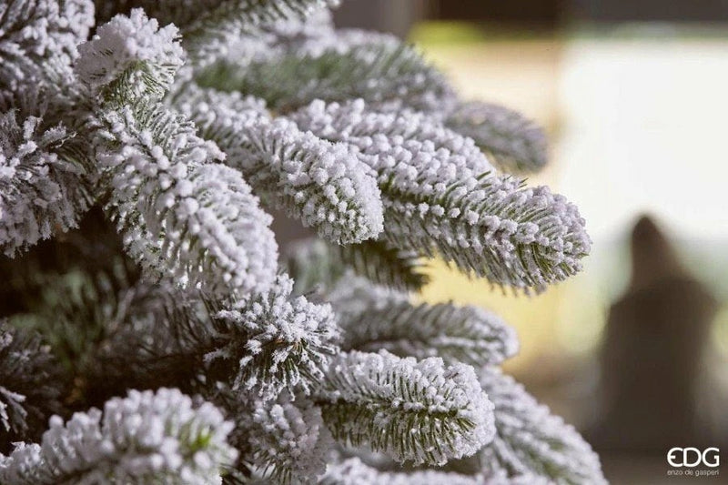 EDG Enzo De Gasperi Snow-Covered Merano Pine Christmas Tree H 210 Cm D 132 Cm with 750 White Green LEDs
