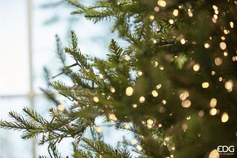 EDG Enzo De Gasperi Luxury Christmas Tree, Pine, H 180 cm, D 136 cm, with 3,000 Green LEDs