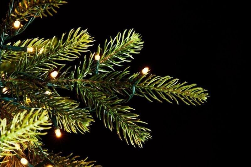 EDG Enzo De Gasperi Luxury Christmas Tree, Pine, H 270 cm, D 163 cm, with 6,000 Green LEDs