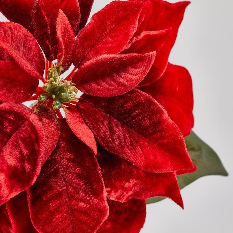 EDG Enzo De Gasperi Stella di Natale Bell in Velluto con Foglie Red H71 cm – Decorazione Natalizia