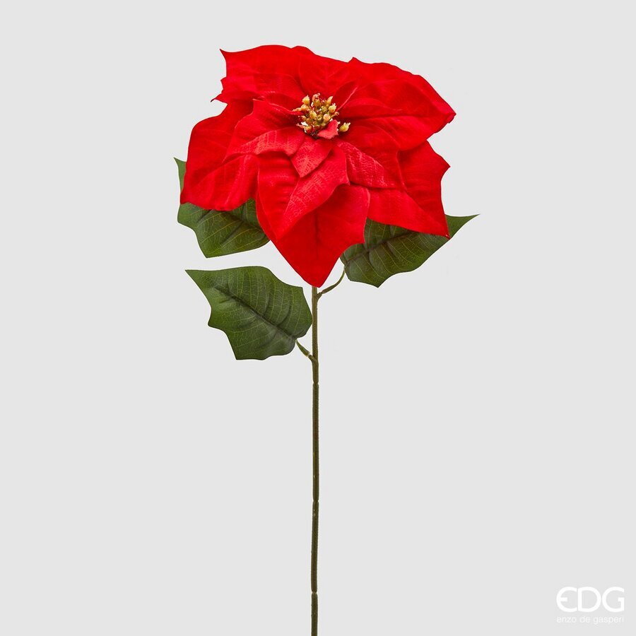 EDG Enzo De Gasperi Ramo Stella di Natale Bell Red H71 cm – Decorazione Natalizia