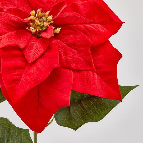 EDG Enzo De Gasperi Poinsettia Branch Bell Red H71 cm – Christmas Decoration