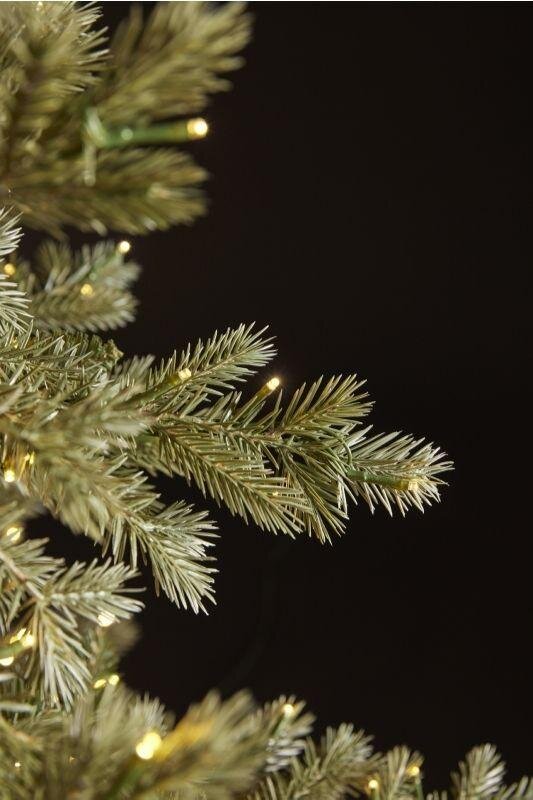 EDG Enzo De Gasperi Silver-Tipped Christmas Tree with 3000 LEDs, 180 cm H x 135 cm D, IP44
