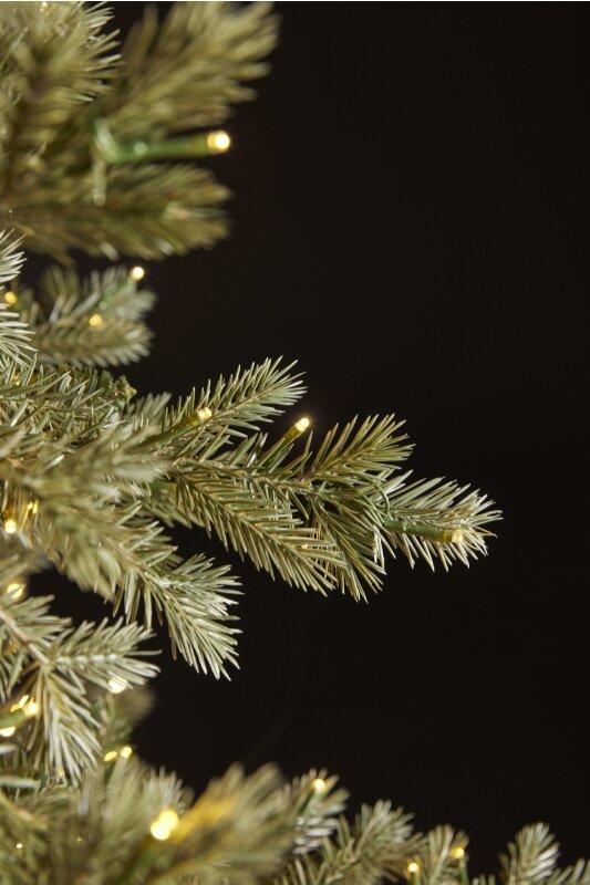 EDG Enzo De Gasperi Silver-Tipped Christmas Tree with 5,000 LEDs, Height 240 cm, Diameter 166 cm, IP44